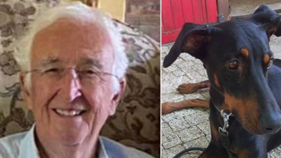 Berzeg'i arama çalışmalarında dikkat çeken detay! Köpeği her defasında eve döndü 1